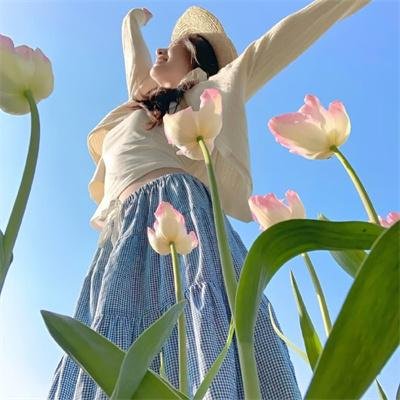 精灵宝可梦：超梦的逆袭