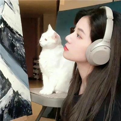 捉智双雄